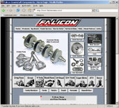 Falicon Web Site